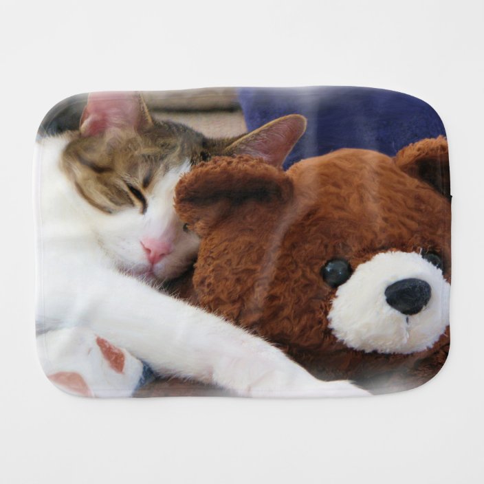 cat sleeping with teddy bear