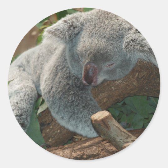 Cute Sleeping Koala Bear Classic Round Sticker