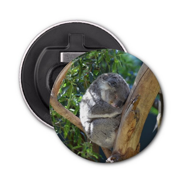 Cute Sleeping Koala in Tree Bottle Opener (Front)