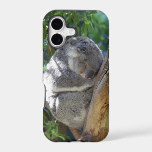 Cute Sleeping Koala in Tree iPhone 17 Case