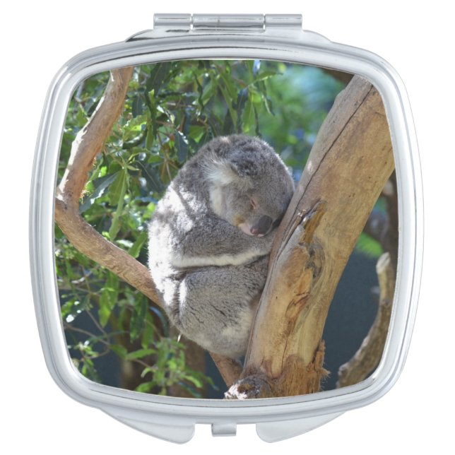 Cute Sleeping Koala in Tree Compact Mirror (Front)