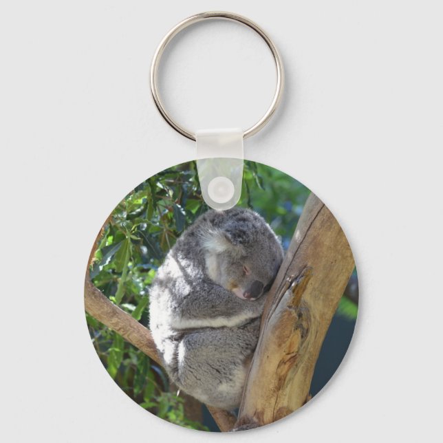 Cute Sleeping Koala in Tree Keychain (Front)