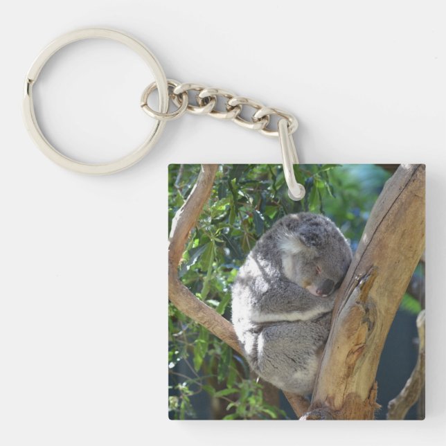 Cute Sleeping Koala in Tree Keychain (Front)