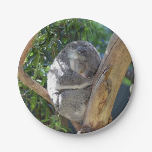 Cute Sleeping Koala in Tree Paper Plates