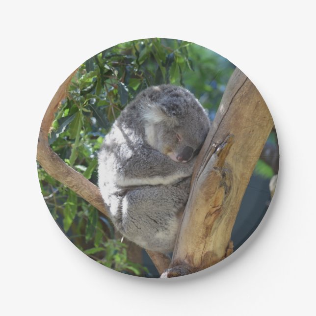 Cute Sleeping Koala in Tree Paper Plates (Front)
