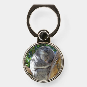 Cute Sleeping Koala in Tree Phone Ring Stand