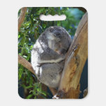 Cute Sleeping Koala in Tree Seat Cushion