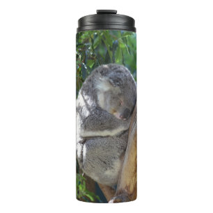 Cute Sleeping Koala in Tree Thermal Tumbler