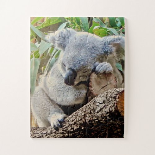 Cute Sleeping Koala Jigsaw Puzzle