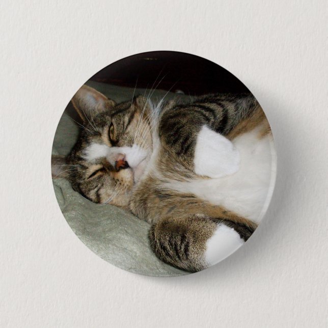 Cute Sleeping Manx Cat Photo / Cat Lover  Pinback Button (Front)