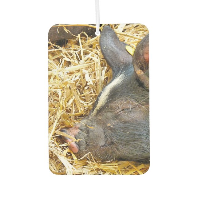 CUTE SLEEPING PIG AIR FRESHENER (Front)