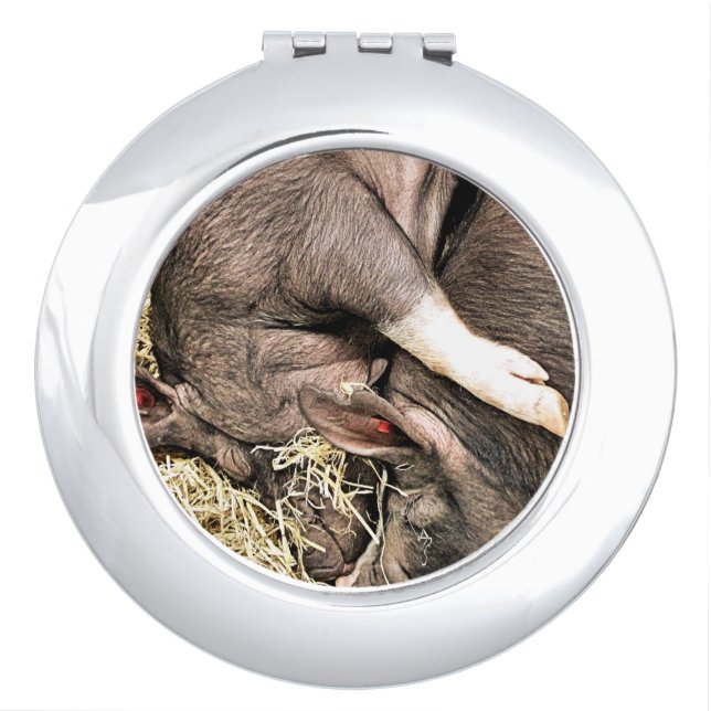 CUTE SLEEPING PIGS COMPACT MIRROR (Front)