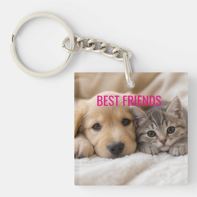 Cute Sleeping Puppy and Kitten Cuddle Keychain (Front)