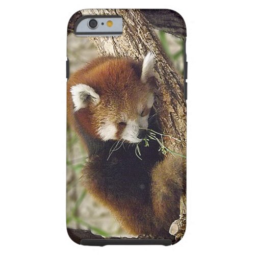 Cute Sleeping Red Panda w Food in Its Mouth Tough iPhone 6 Case
