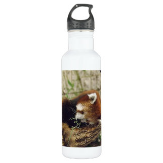 Cute Sleeping Red Panda w/ Food in Its Mouth Stainless Steel Water Bottle