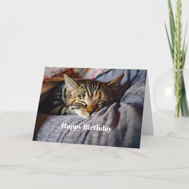 Cute Sleeping Tabby Cat Photo Birthday Card | Zazzle