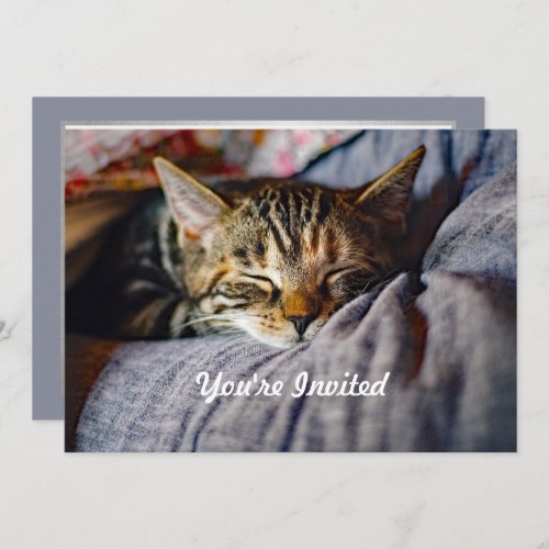 Cute Sleeping Tabby Cat Photo Birthday Invitation