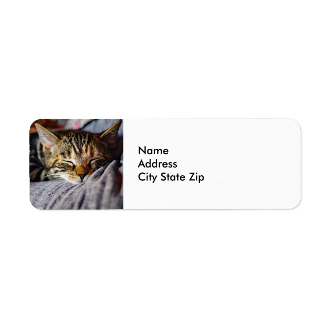 Cute Sleeping Tabby Cat Photo Label (Front)
