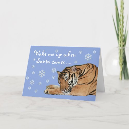 Cute Sleeping Tiger Snowflakes Blue Christmas Card