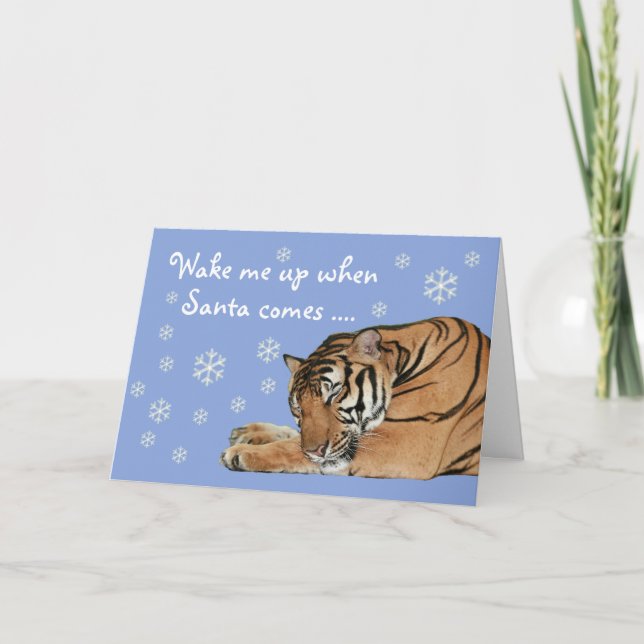 Cute Sleeping Tiger Snowflakes Blue Christmas Card (Front)