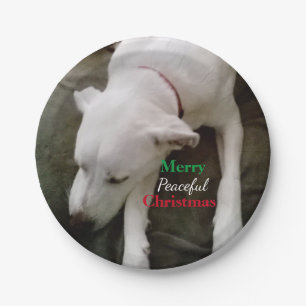 Cute Sleeping White Puppy Dog Christmas  Paper Plates
