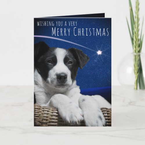 Cute Sleepy Black White Puppy Starry Sky Custom Holiday Card
