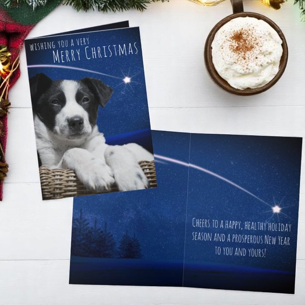 Cute Sleepy Black White Puppy Starry Sky Custom