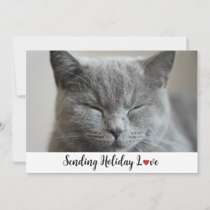 Cute Sleepy Cat Sending Holiday Love Card