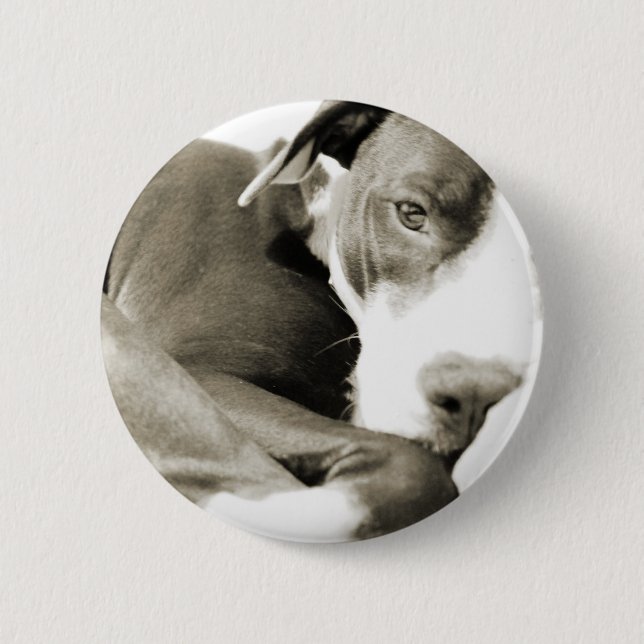 cute sleepy lazy pit bull dog button (Front)