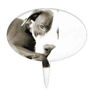 cute sleepy lazy pit bull dog cake topper