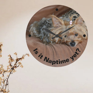 Cute Sleepy Yorkshire Terrier Large Clock