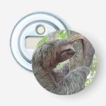 Cute Sloth Bottle Opener