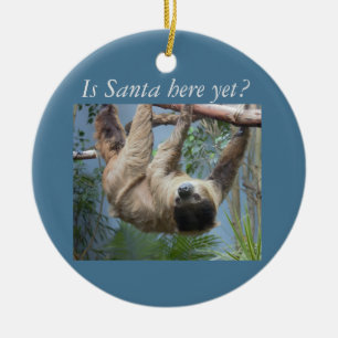 Cute Sloth Ceramic Ornament