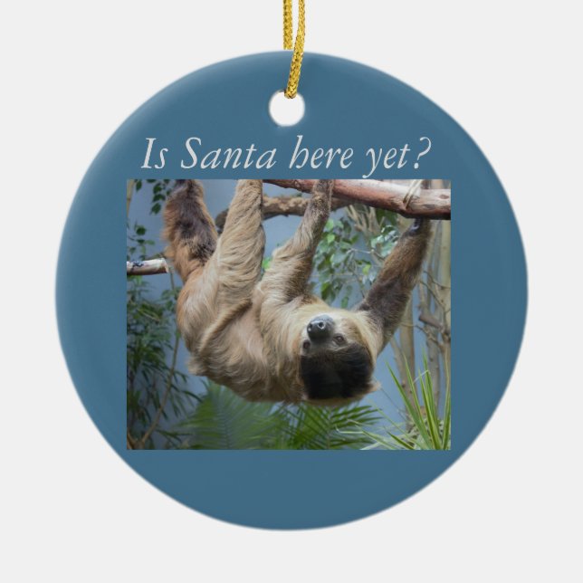 Cute Sloth Ceramic Ornament (Front)