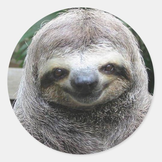 Cute Sloth Face Classic Round Sticker | Zazzle.com