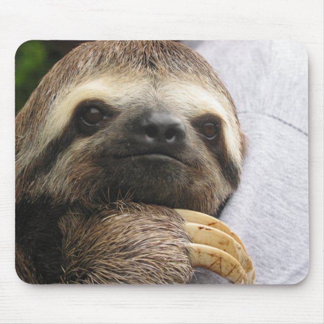 Cute Sloth Face Mouse Pad (Front)