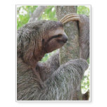 Cute Sloth Temporary Tattoos