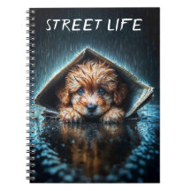 Cute small dog in rain day with blue eyes art