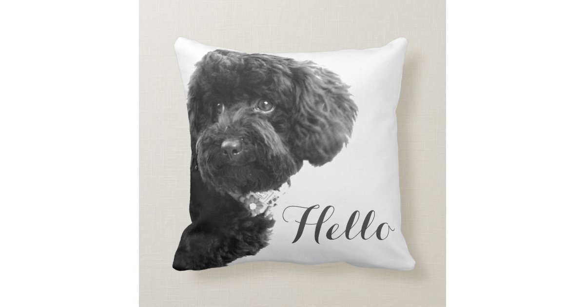 Cute Small Dog Puppy Toy Poodle Hello Custom Throw Pillow Zazzle Com