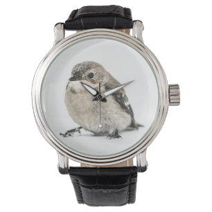 Cute Small Garden Bird Photo Watch