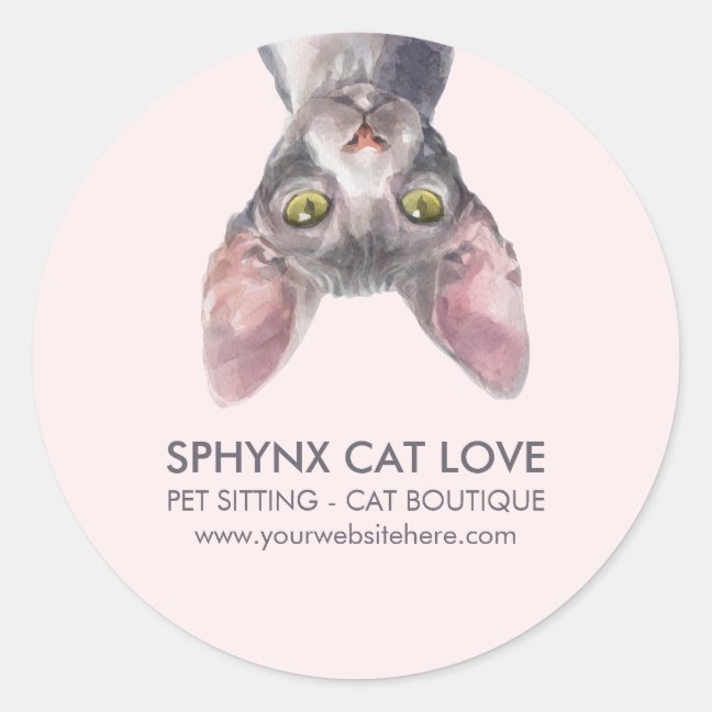 Cute Small Pink Canadian Sphynx Cat Car Classic Round Sticker