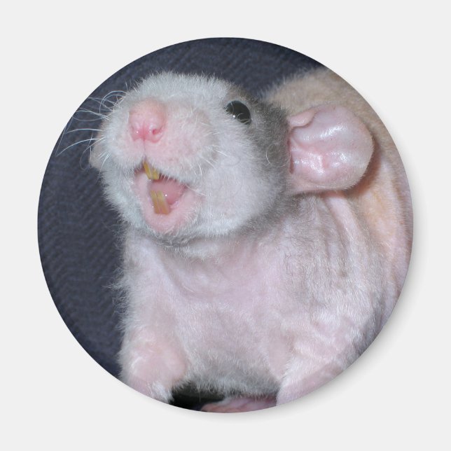 Cute Smile Rat Magnet (Front)