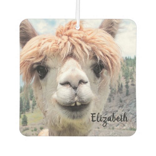 Cute Smiling Alpaca Photo Image Air Freshener