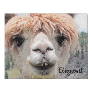 Cute Smiling Alpaca Photo Image Faux Canvas Print