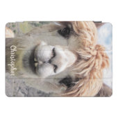 Cute Smiling Alpaca Photo Image iPad Pro Cover (Horizontal)