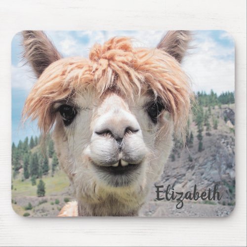 Cute Smiling Alpaca Photo Image Mouse Pad