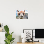 Cute Smiling Alpaca Photo Image Poster (Home Office)