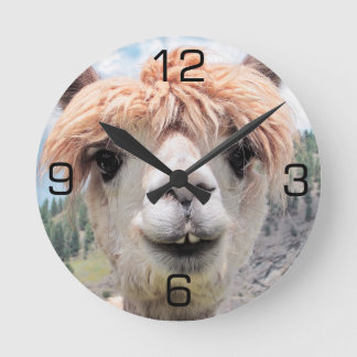 Cute Smiling Alpaca Photo Image Round Clock