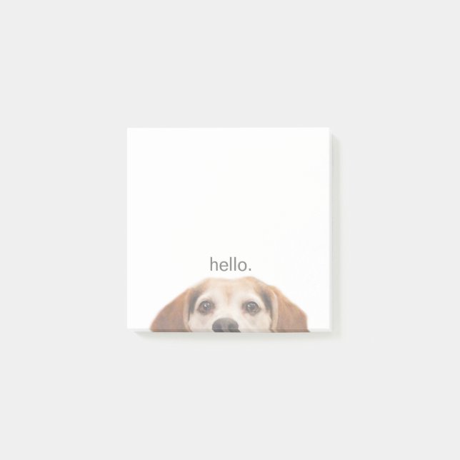 Cute Smiling Beagle with Hello Quote Notes (Front)