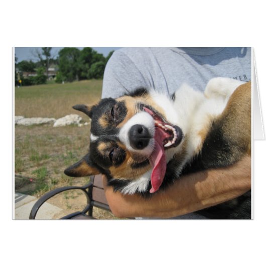 Cute Smiling Corgi Dog Cards (Front Horizontal)